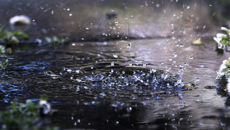 rain